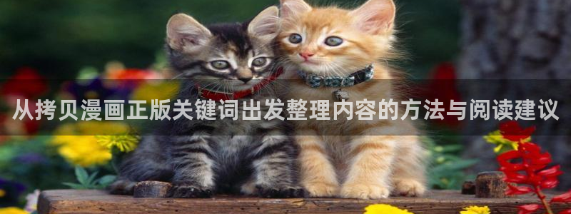 羞羞漫画作品动态:从拷贝漫画正版关键词出发整理内容的方法与阅读建议