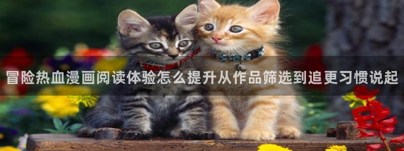 羞羞漫画热门漫画大全：冒险热血漫画阅读体验怎么提升从作品筛选到追更习惯说起